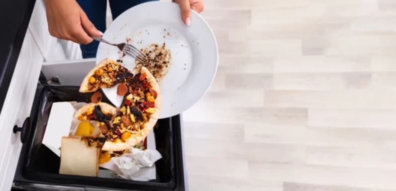 Learn about food waste